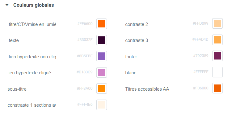 charte graphique fournie site Conseil Digistrategie