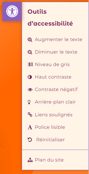 outils d'accessibilité site Conseil Digistrategie