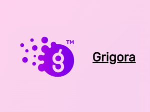 Rédaction web SEO Grigora blocks la Webeuse