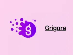 Rédaction web SEO Grigora blocks la Webeuse